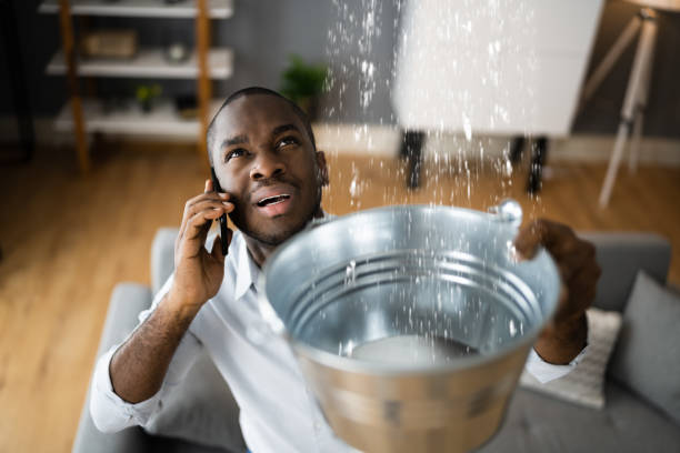 Best Flood restoration services  in Bullard, TX