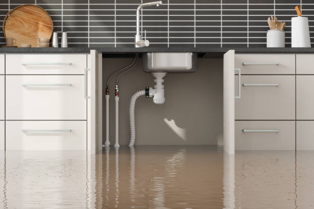  Bullard, TX Water damage restoration Pros