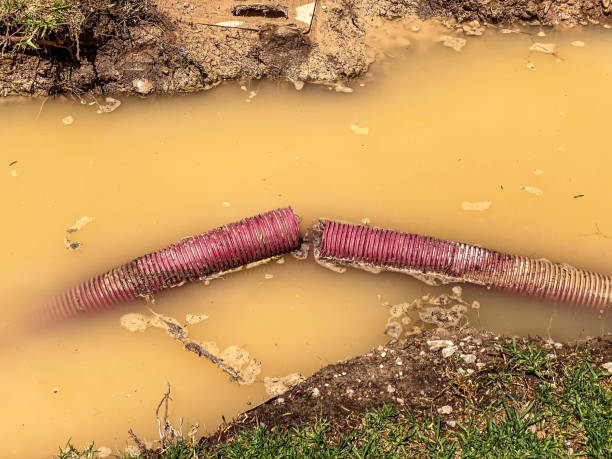 Best Emergency water damage restoration  in Bullard, TX