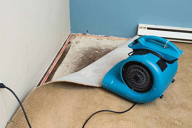 Best Ceiling water damage repair  in Bullard, TX